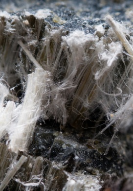 Fibres d'amiante grises et blanches en gros plan sur un matériau de construction
