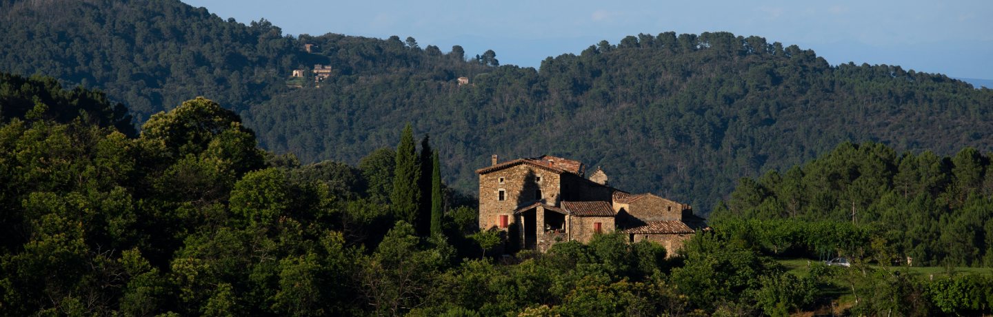 Maison ancienne en pierre au toit en tuiles rouges entourée de végétation et de forêt